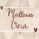 Meilleurs voeux en style délicat pour 2026